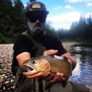 Meet your Posher, Derk